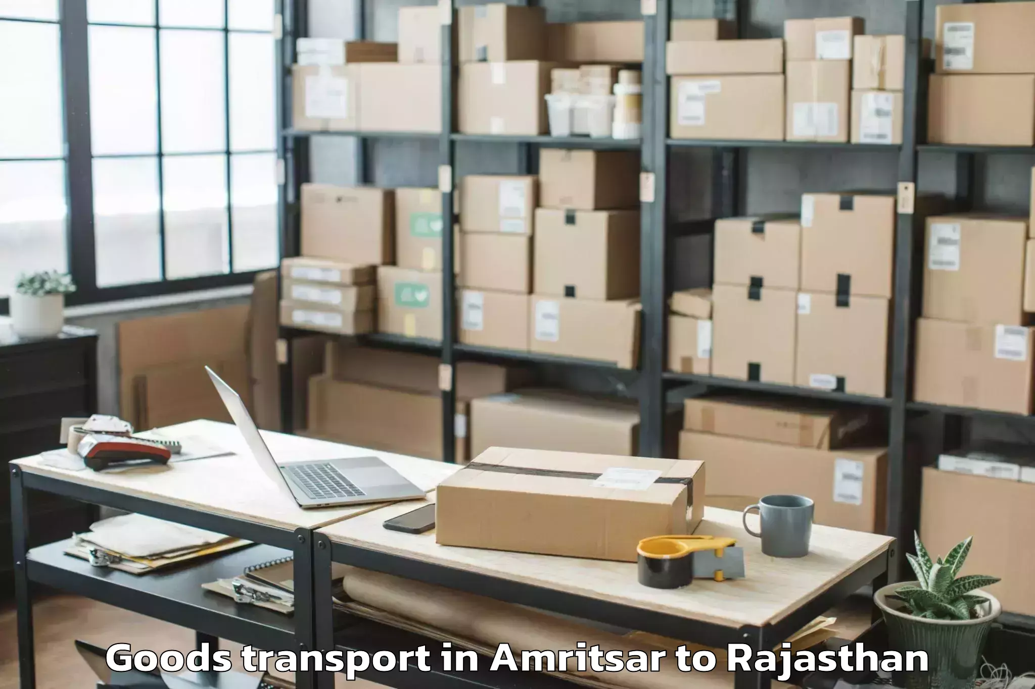 Leading Amritsar to Madhav University Pindwara Goods Transport Provider